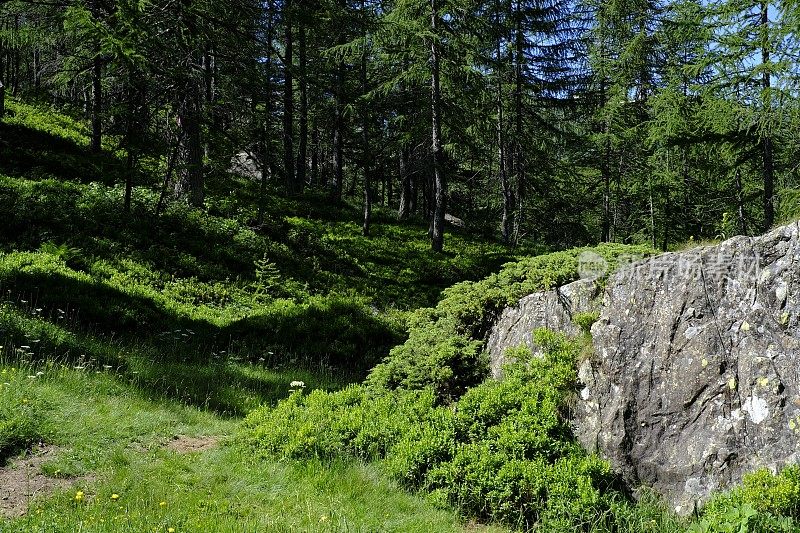 Alpe Devero - Piedmont - Italy报道